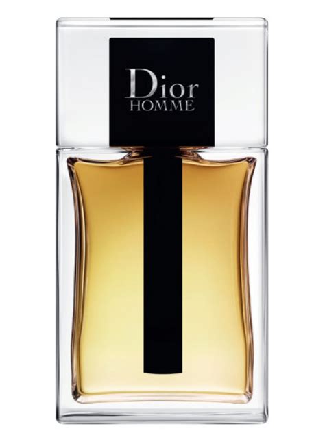 christian dior menswear|dior homme original fragrantica.